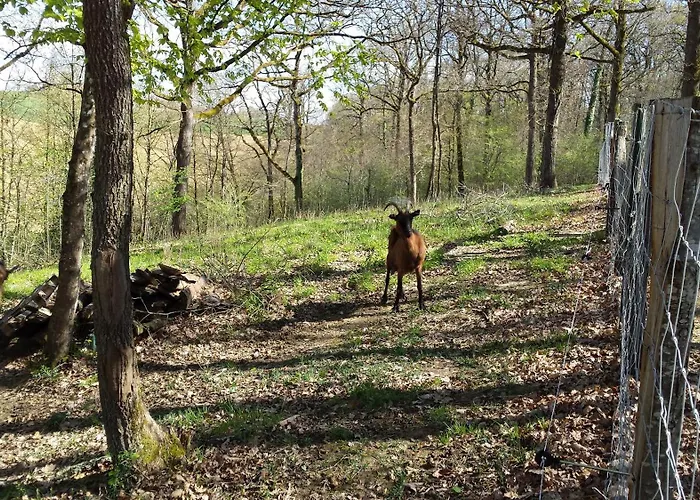 Type F4 Сasa de vacaciones Maurens (Gers)