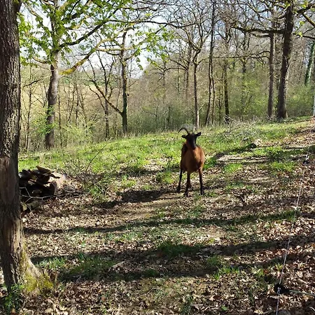 Type F4 別荘 Maurens (Gers)